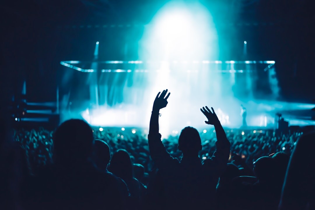 crowd at music concert